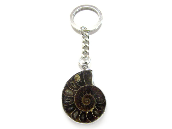 Ammonite Keychain