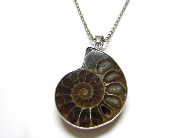 Large Ammonite Fossil Necklace