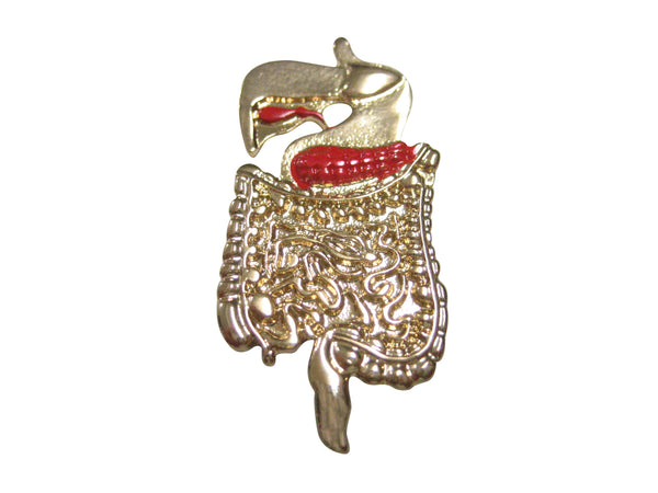 Gold Toned Anatomical Medical Intestines Stomach Magnet