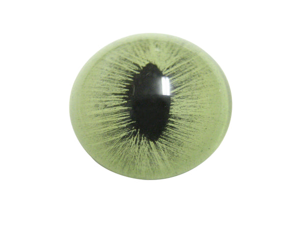 Green Cat Eye Design Magnet