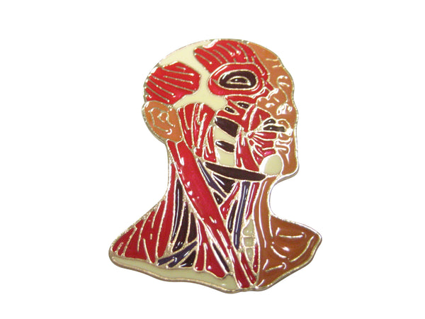 Human Anatomy Magnet