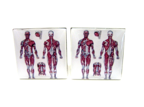 Human Anatomy Sign Cufflinks