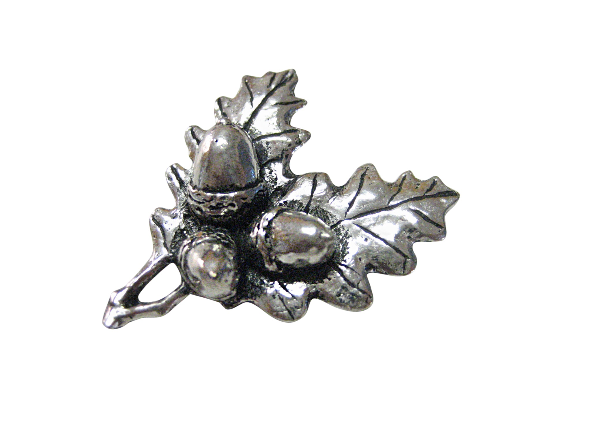 Oak Tree Leaf with Acorns Magnet