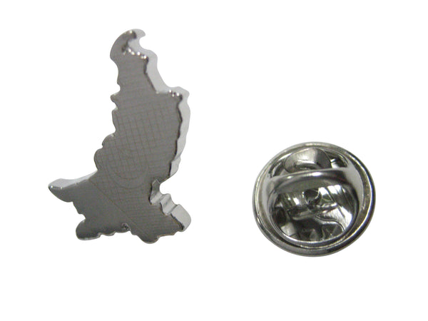 Pakistan Map Shape and Flag Design Lapel Pin