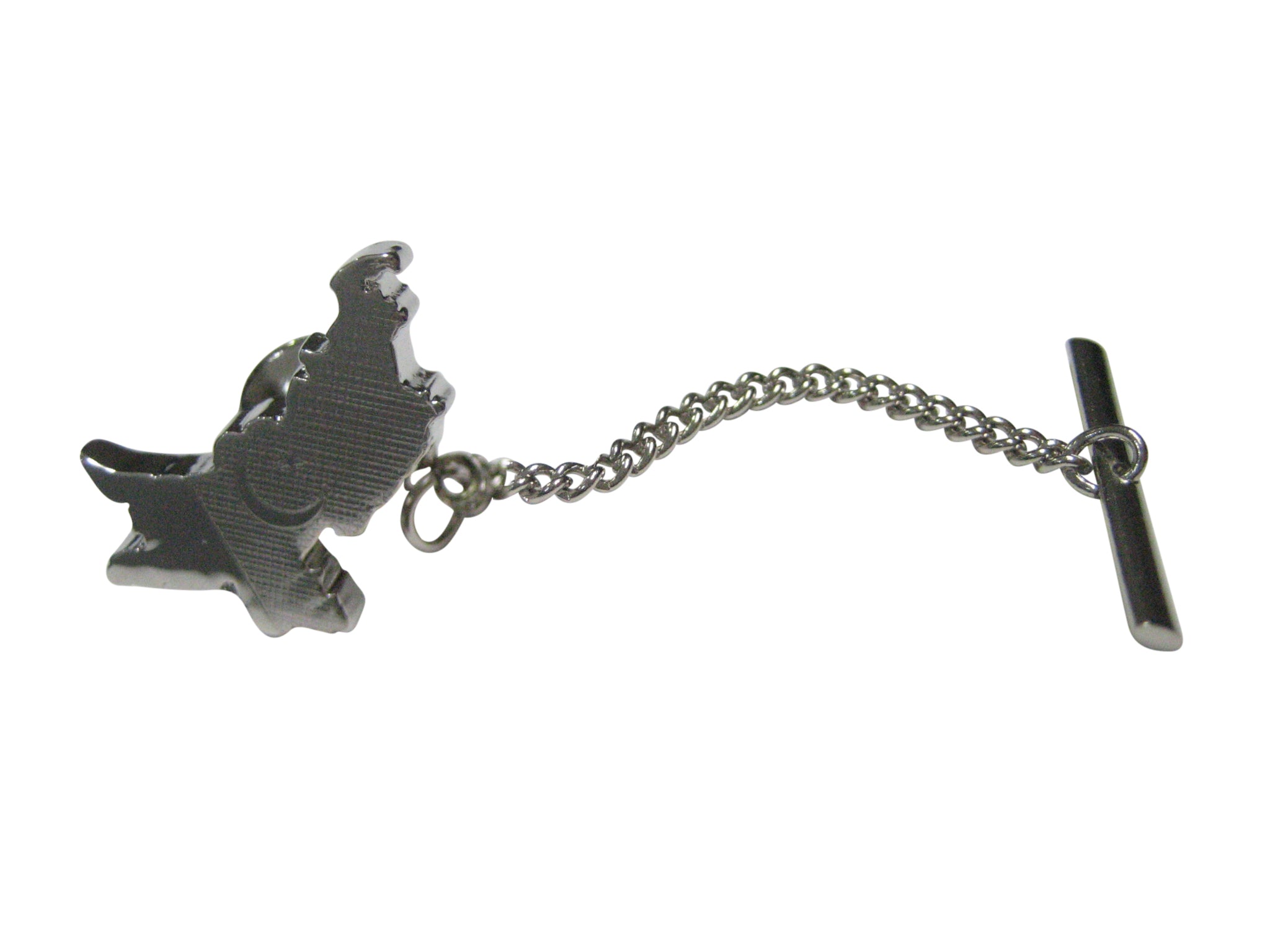 Pakistan Map Shape and Flag Design Tie Tack