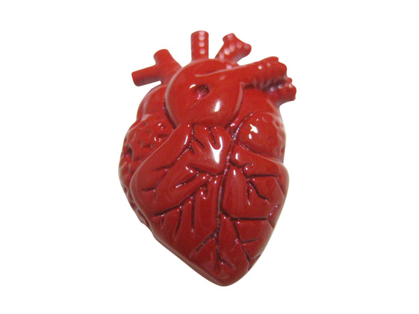 Red Anatomical Heart Pendant Magnet