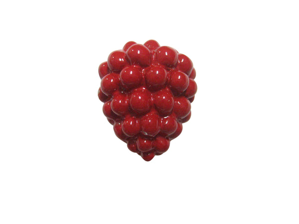 Red Raspberry Fruit Magnet
