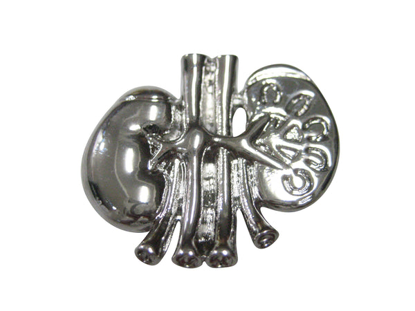 Silver Toned Anatomical Medical Nephrologists Kidney Magnet