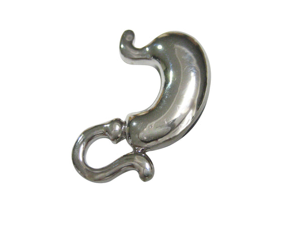 Silver Toned Medical Anatomy Stomach Gastroenterology Magnet