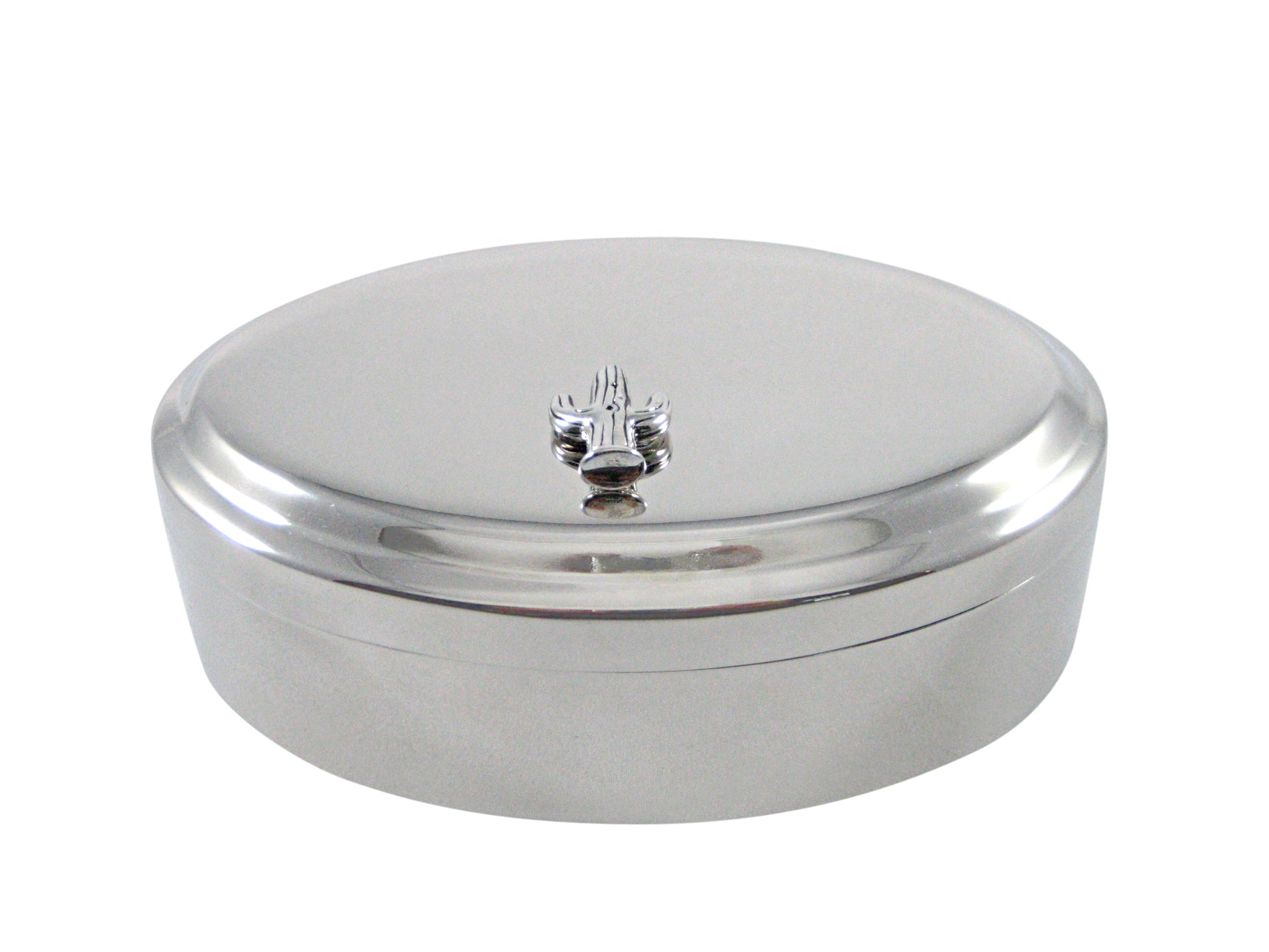 Silver Toned Cactus Plant Pendant Oval Trinket Jewelry Box