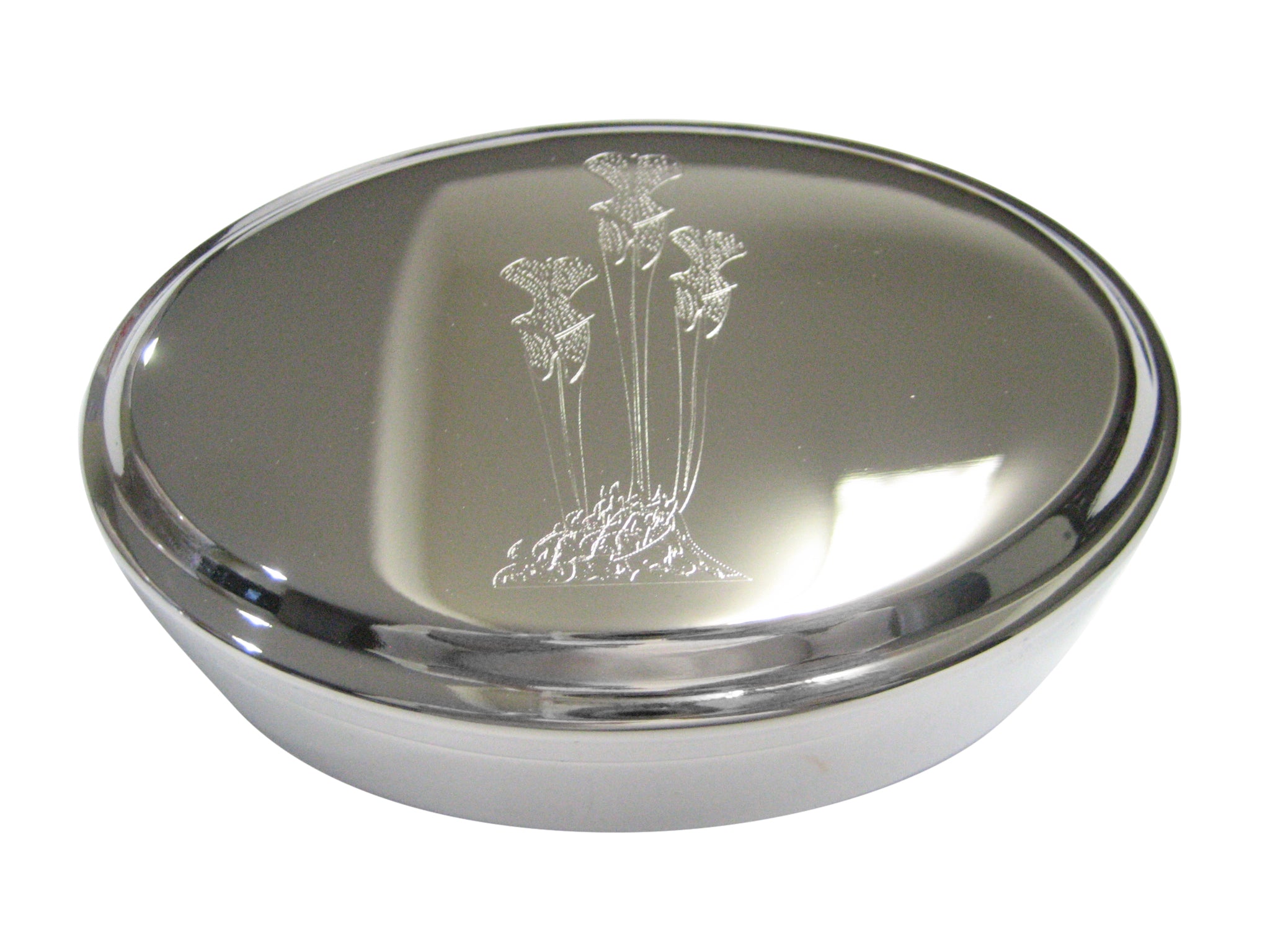Silver Toned Etched Carnivorous Sarracenia Pitcher Plant Oval Trinket Jewelry Box
