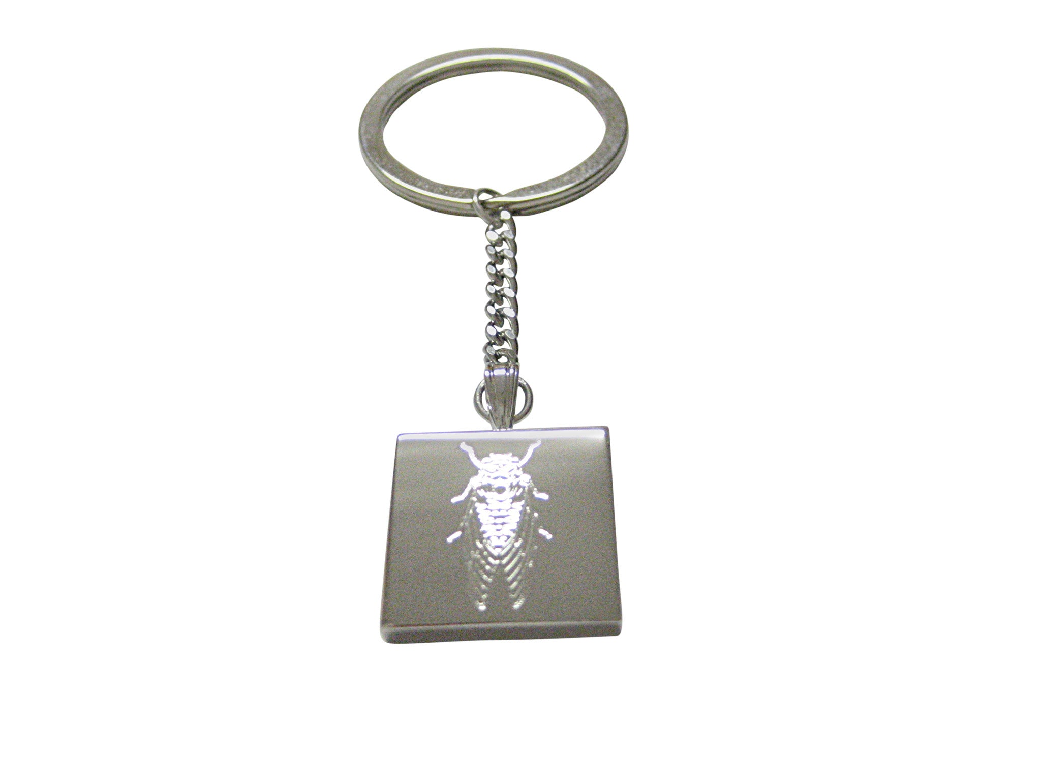 Silver Toned Etched Cicada Bug Keychain
