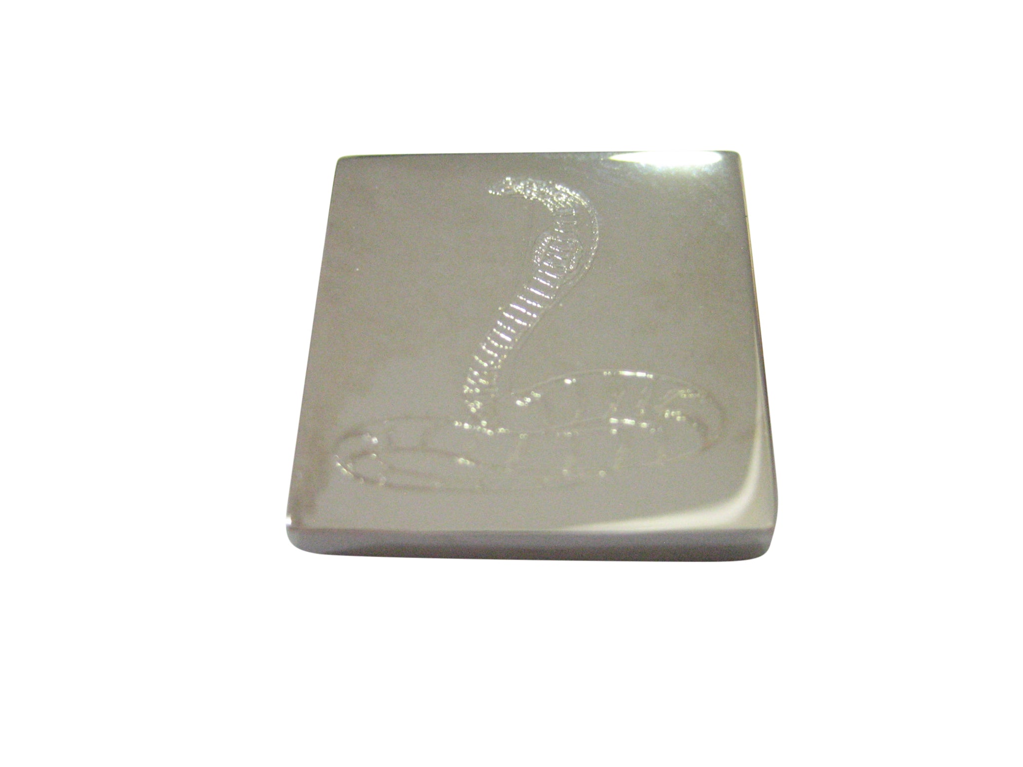 Silver Toned Etched Cobra Snake Magnet