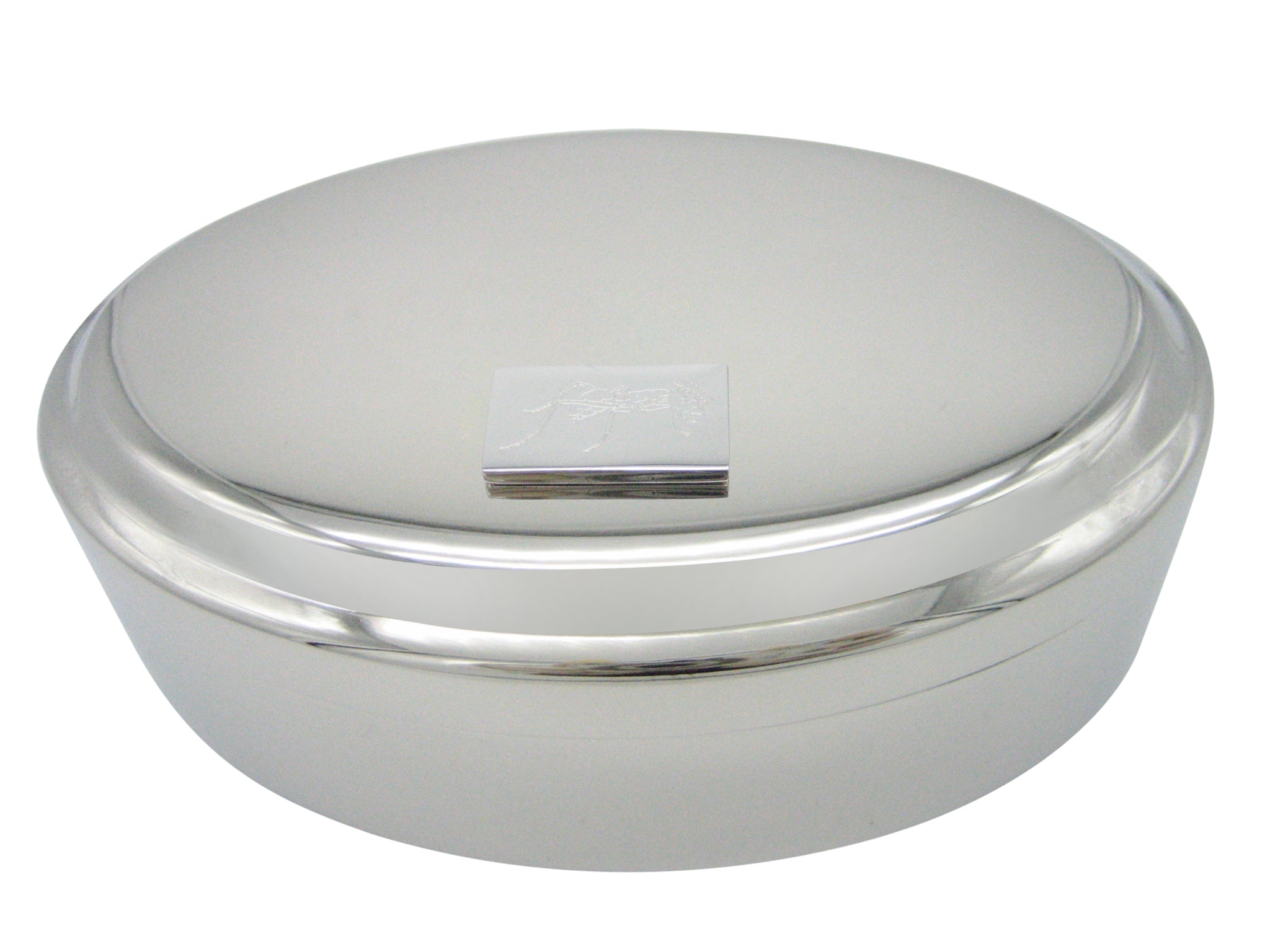 Silver Toned Etched Detailed Ant Bug Insect Pendant Oval Trinket Jewelry Box