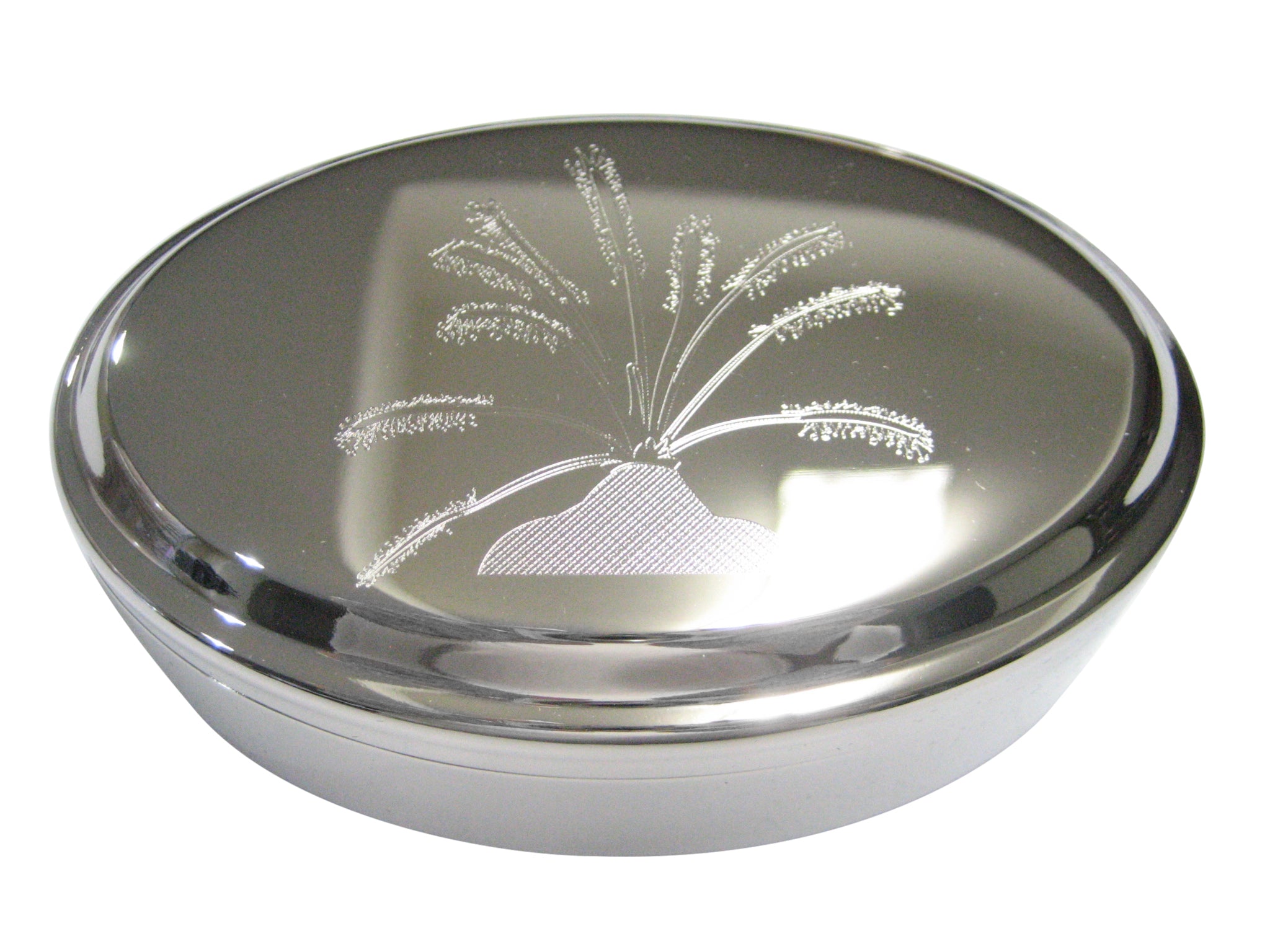 Silver Toned Etched Drosera Capensis Sundew Carnivorous Plant Oval Trinket Jewelry Box