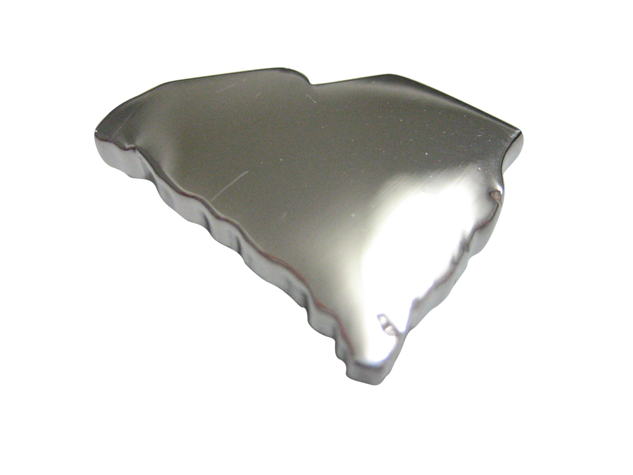 South Carolina State Map Shape Magnet